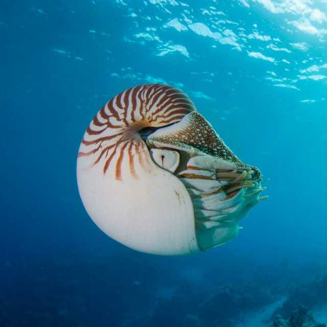 职场励志搞笑小故事及感悟_职场幽默励志小故事_职场幽默小故事大道理