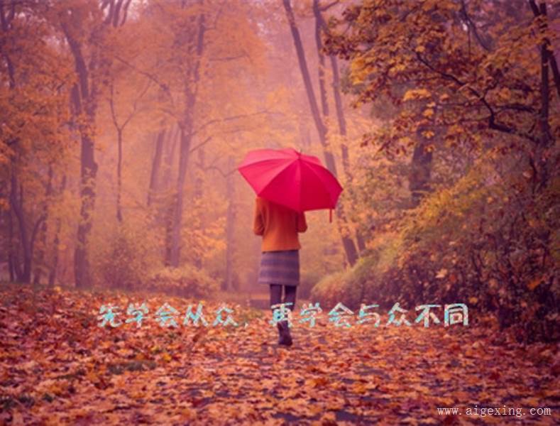 职场励志文章精选800字_职场励志小故事及感悟简短_职场励志