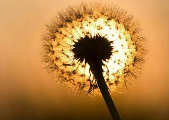 经典语录职场_职场励志语录名言_语录名言职场励志句子