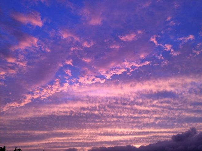 职场励志寓言故事有哪些_职场励志寓言故事_职场励志寓言故事及寓意