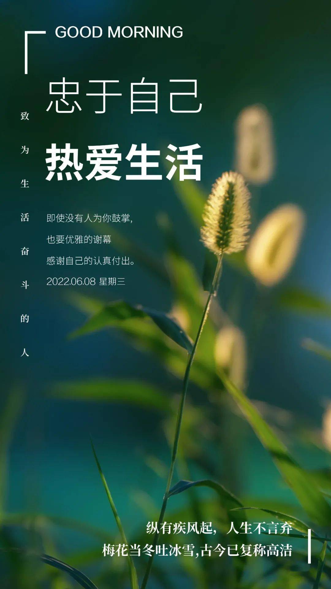 走出校园踏入职场_刚走出校园的大学生职场励志语录名言_离开校园走进职场