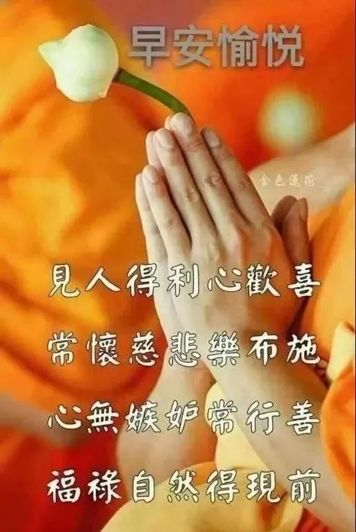 职场励志句子心灵鸡汤语录_职场励志鸡汤文_语录职场励志鸡汤句子心灵感悟