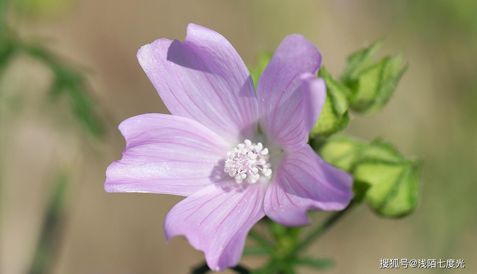 职场励志文章读后感优秀范文_职场励志文章(精选10篇)_职场 励志文章