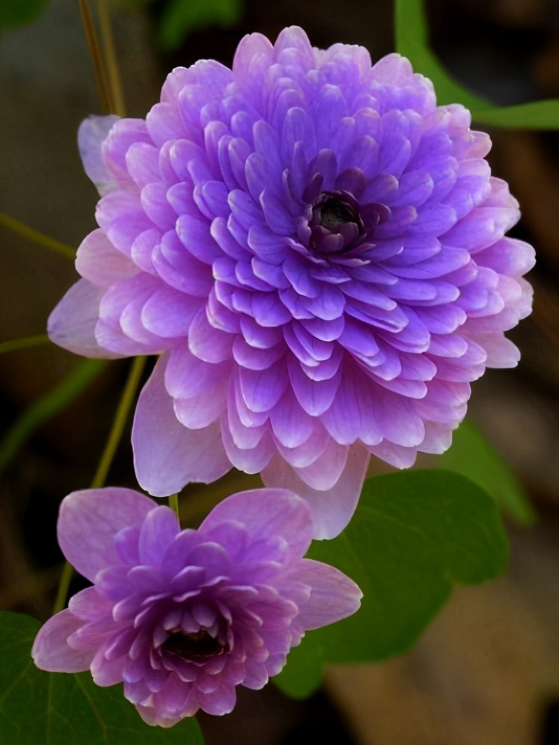 职场励志电影排行榜前十名_职场励志经典电影_职场电影励志经典片段