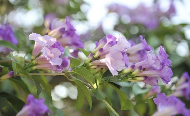 职场励志语录经典短句_职场励志佳句_经典职场励志词