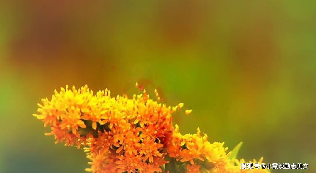 职场励志故事小故事_励志职场小故事_职场励志故事小说