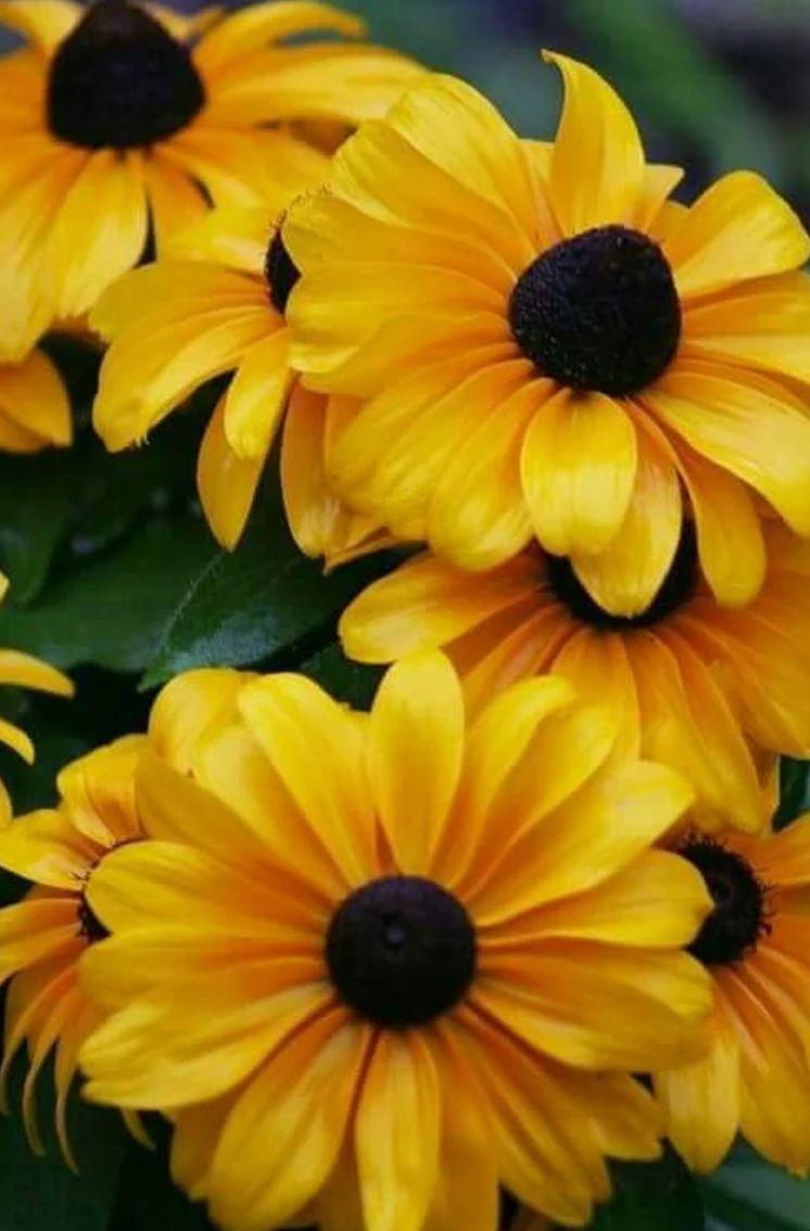 职场励志人物故事_职场励志名人故事短篇_名人职场励志故事