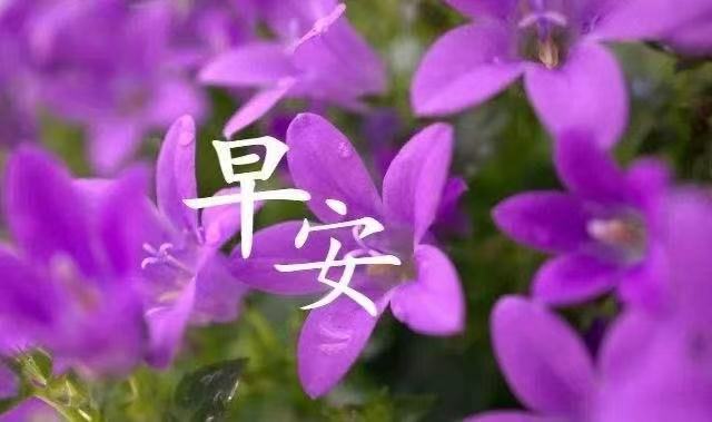 职场励志心灵鸡汤短文_职场励志心灵鸡汤文章_职场励志的心灵鸡汤短句