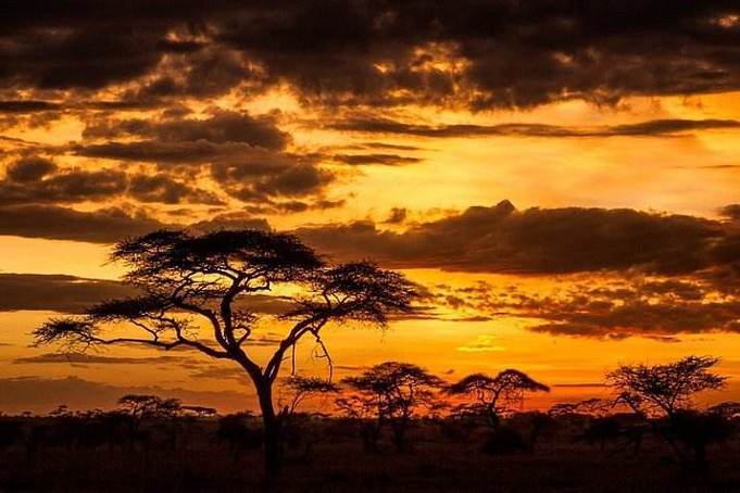 职场励志鸡汤文_职场励志心灵鸡汤短文_职场一句话经典励志心灵鸡汤语录