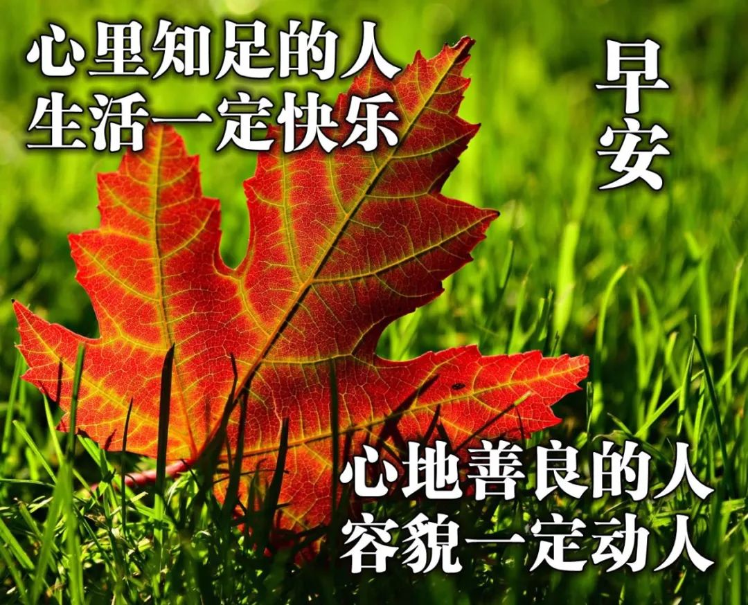 职场励志语录简短早安图片大全_职场励志早安心语_职场早安励志语录