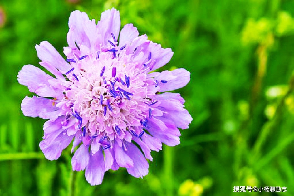 职场鸡汤短句_职场一句话经典励志心灵鸡汤语录_职场励志鸡汤文