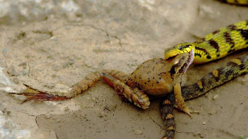 职场人生哲理小故事_职场哲理励志故事小说_职场励志哲理小故事