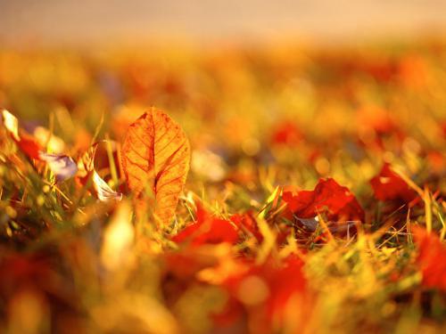 职场类的电影_职场励志类电影_职场励志电影排行榜前十名