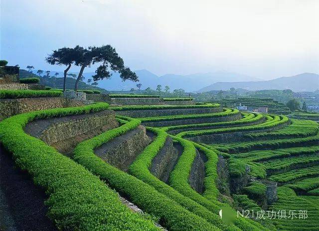 励志职场故事_职场励志故事小故事及感悟_职场励志故事正能量故事及感悟