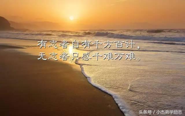 职场励志语录经典短句2019_职场励志语录2024_2020职场励志语录