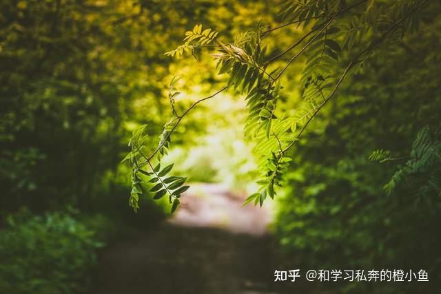 职场励志语录2024_励志短句职场_2021职场语录