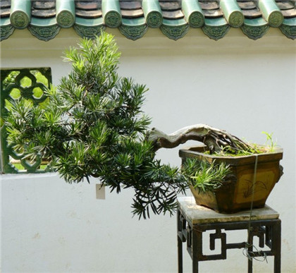 职场励志小故事及感悟_职场励志小故事大道理_职场激励小故事大道理