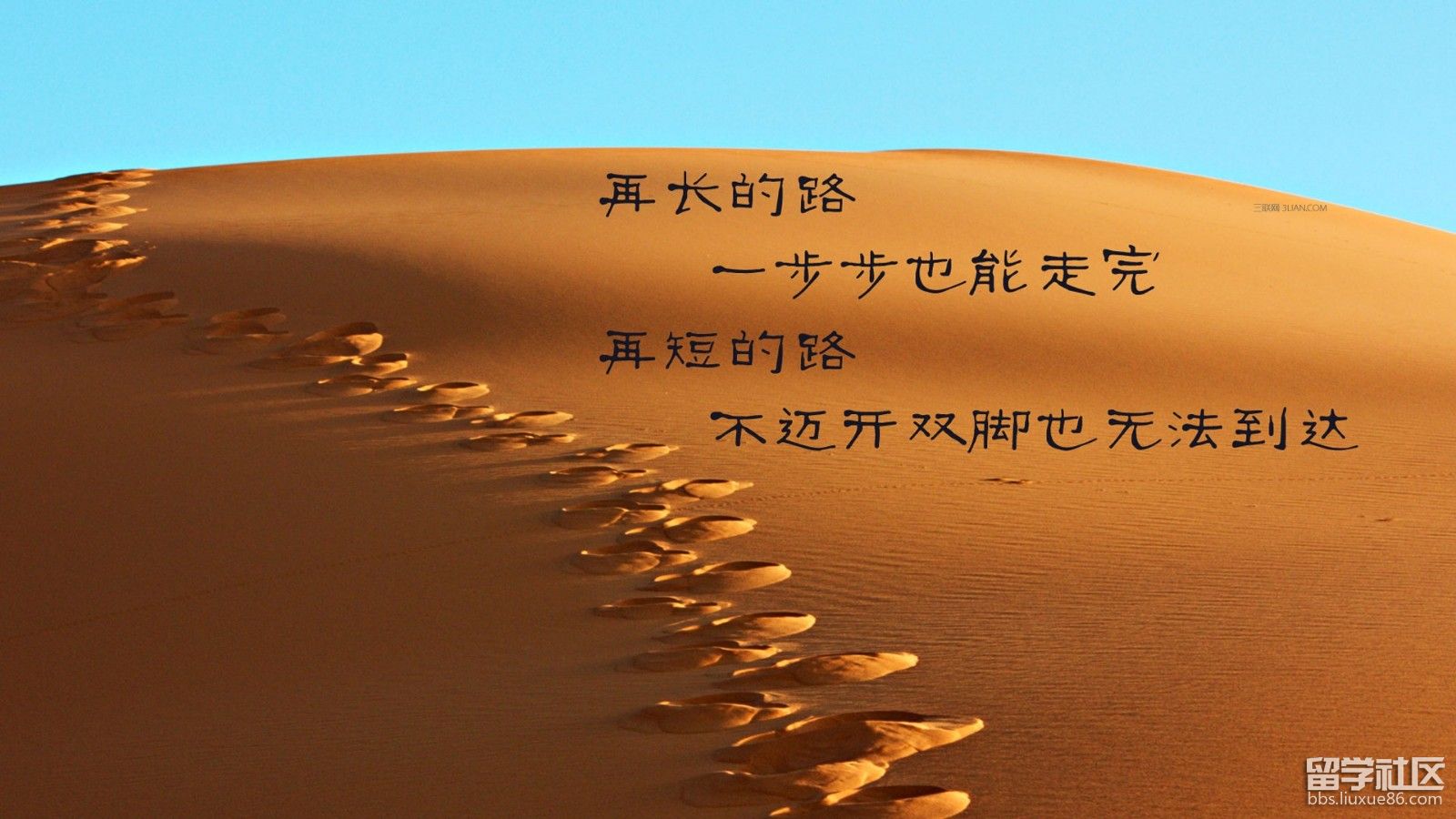 职场女性励志语录_职场女生励志语录_励志职场女性