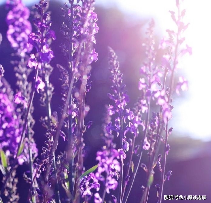 励志语录经典短句团队工作_励志工作正能量句子团队_关于职场团队的正能量的励志句子