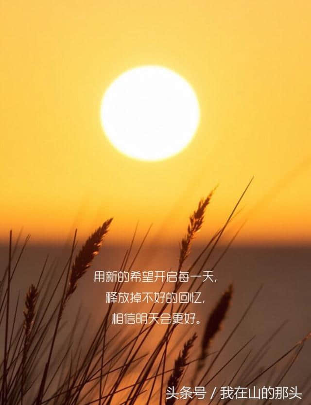 励志职场短句_职场励志经典语录_职场奋斗励志语录