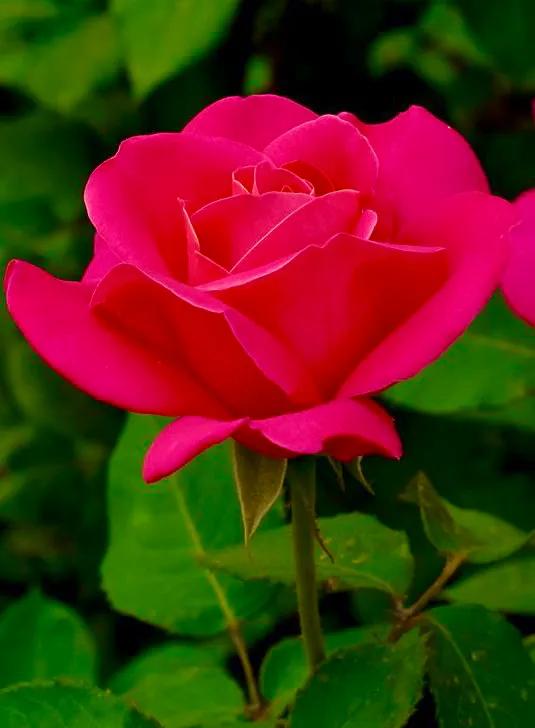 职场励志故事及感悟个人成长_职场励志故事小故事及感悟_关于职场的励志故事