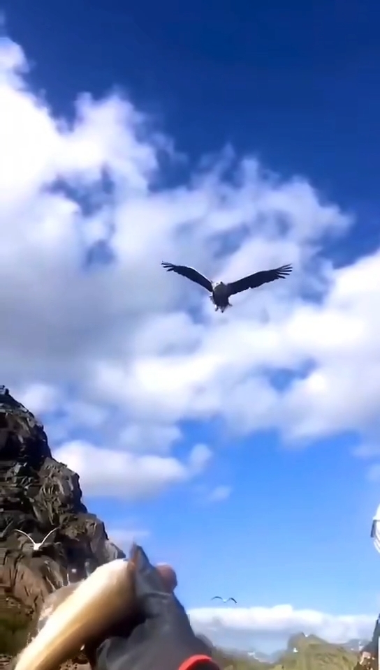 职场励志寓言故事及寓意_职场励志寓言故事有哪些_职场励志寓言故事