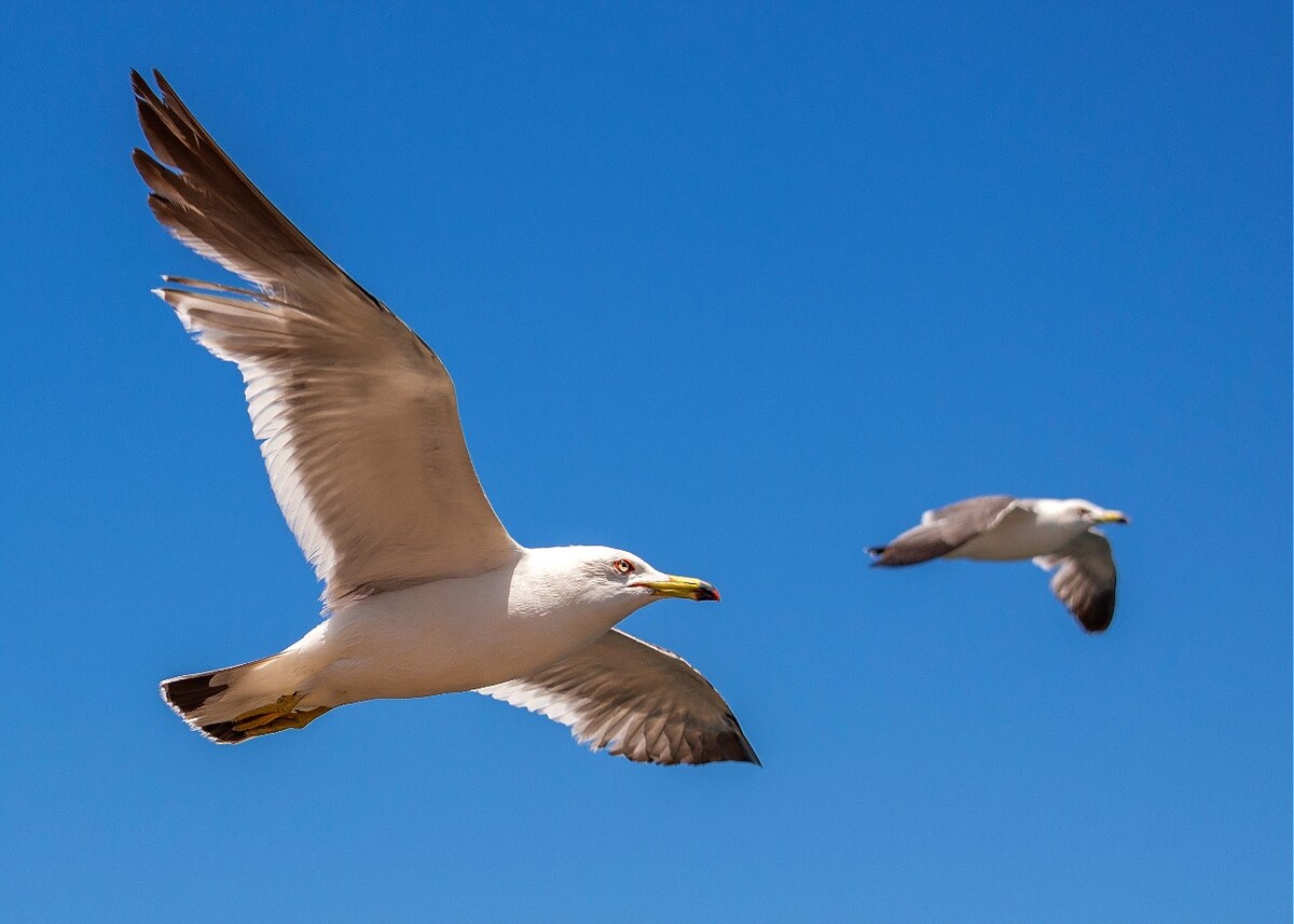 职场励志寓言故事有哪些_职场励志寓言故事及寓意_职场励志寓言故事
