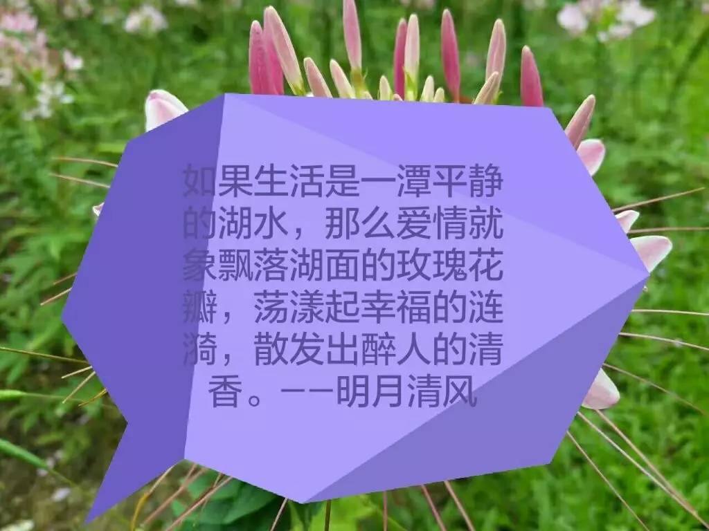 职场励志正能量小故事_职场励志正能量小故事_职场励志正能量小故事