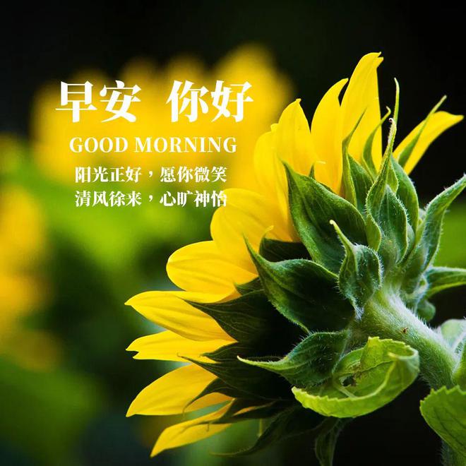 励志职场语录_职场励志语录经典短句2019_励志短句职场