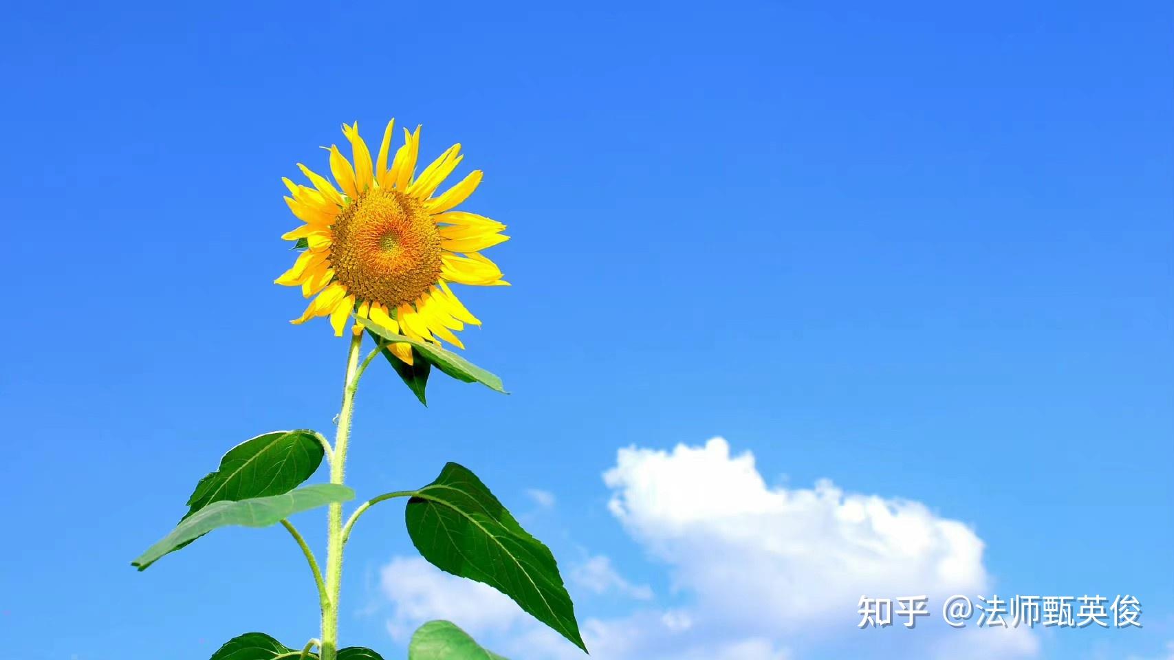 职场必看的十部经典励志电影_必看的职场电影排行榜_职场励志电影排行榜前十名