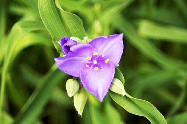 职场励志心灵鸡汤短文_职场励志的心灵鸡汤短句_职场励志心灵鸡汤文章
