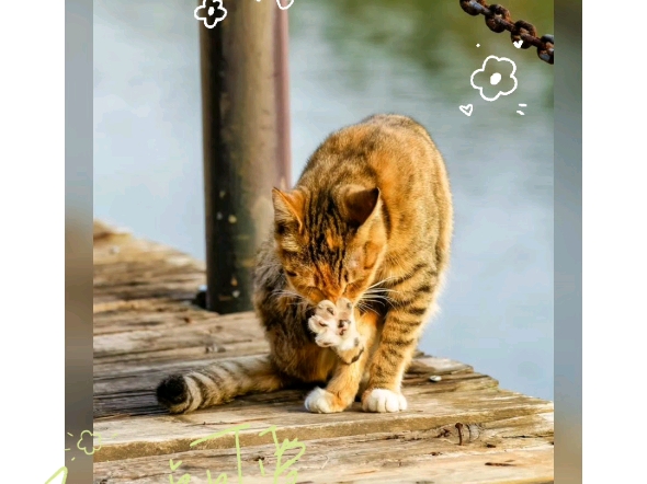 职场励志小说经典_职场励志小说_职场励志小说作品取名字怎么取