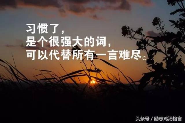 职场奋斗励志语录_2020职场励志语录_职场励志佳句