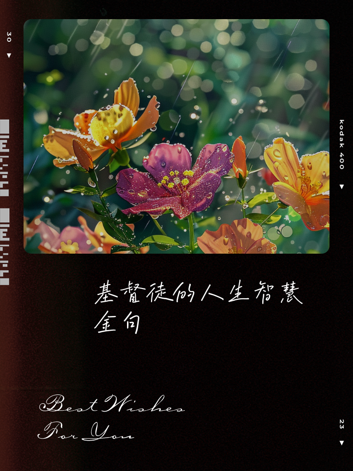 职场励志故事及感悟个人成长_职场励志感悟故事大全_职场励志故事及感悟