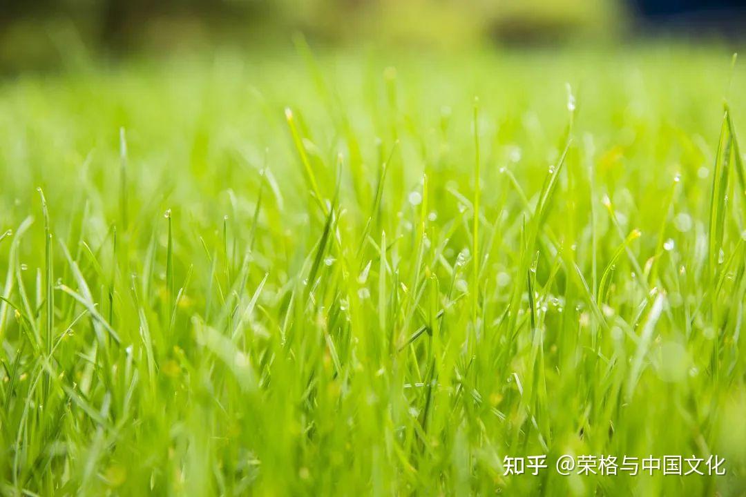 语录职场励志能量短句_职场正能量励志语录_职场经典语录励志正能量的