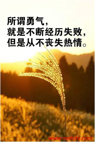 职场经典语录励志正能量的_2020职场励志语录_职场正能量励志语录