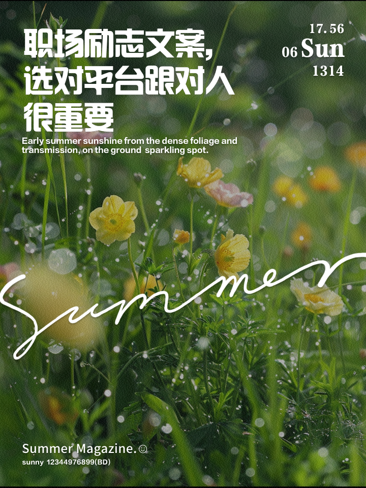 职场励志言情小说推荐_职场励志言情文_职场励志言情的小说