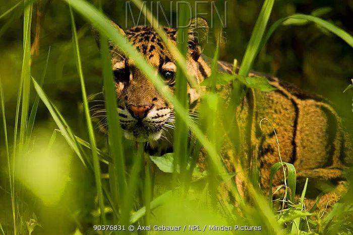 职场励志故事小故事及感悟_职场励志小故事正能量故事_职场励志小故事正能量故事