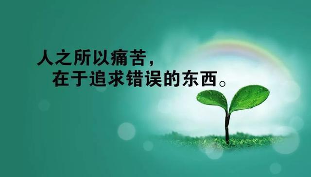 职场励志寓言故事_职场励志寓言故事简短_职场励志寓言故事有哪些
