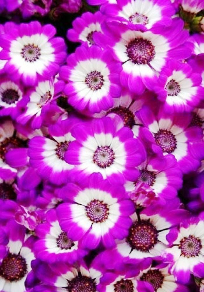 职场励志故事小故事_职场的励志故事_职场励志故事小故事及感悟