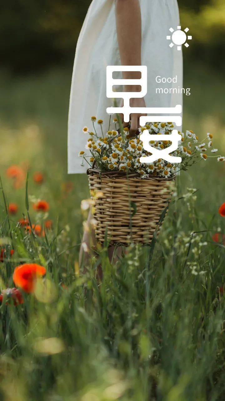 职场励志早安心语_职场早安励志语录_职场励志语录简短早安图片大全