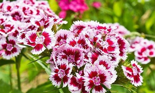 职场哲理励志的句子_职场哲理句子霸气_职场哲理励志句子大全