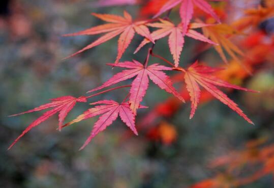 职场哲理励志句子大全_职场哲理励志的句子_职场哲理句子霸气