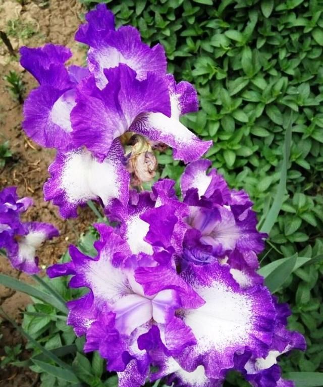 职场奋斗励志语录_职场励志经典语录_职场励志语录经典短句2019