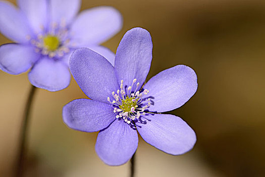 职场励志小说排行榜_职场励志小说经典_职场励志小说