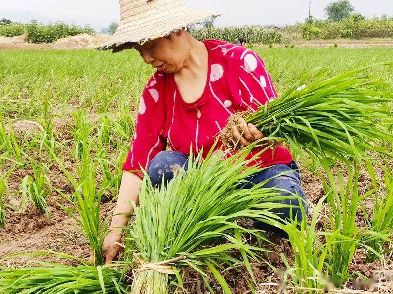国产职场励志电影_职场励志电影国内电影_中国职场励志电影