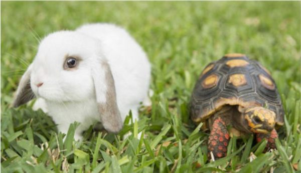 父亲跟儿子的励志故事_职场励志故事父亲和儿子的对话_父亲与儿子的对话励志