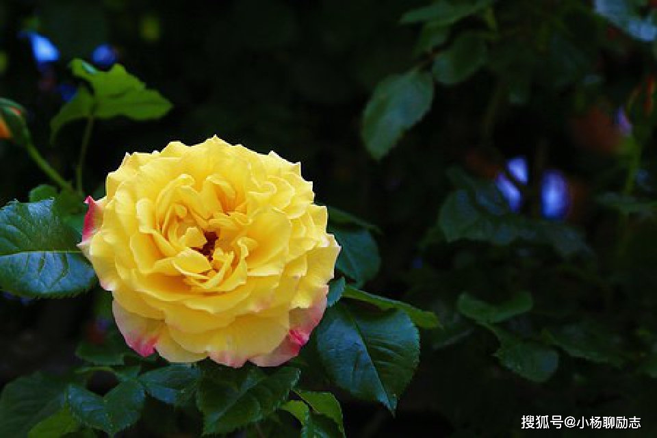 职场励志故事小故事及感悟_励志职场故事_职场励志故事及感悟个人成长