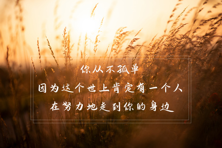 职场励志心灵鸡汤短文_职场的励志鸡汤语录_职场一句话经典励志心灵鸡汤语录