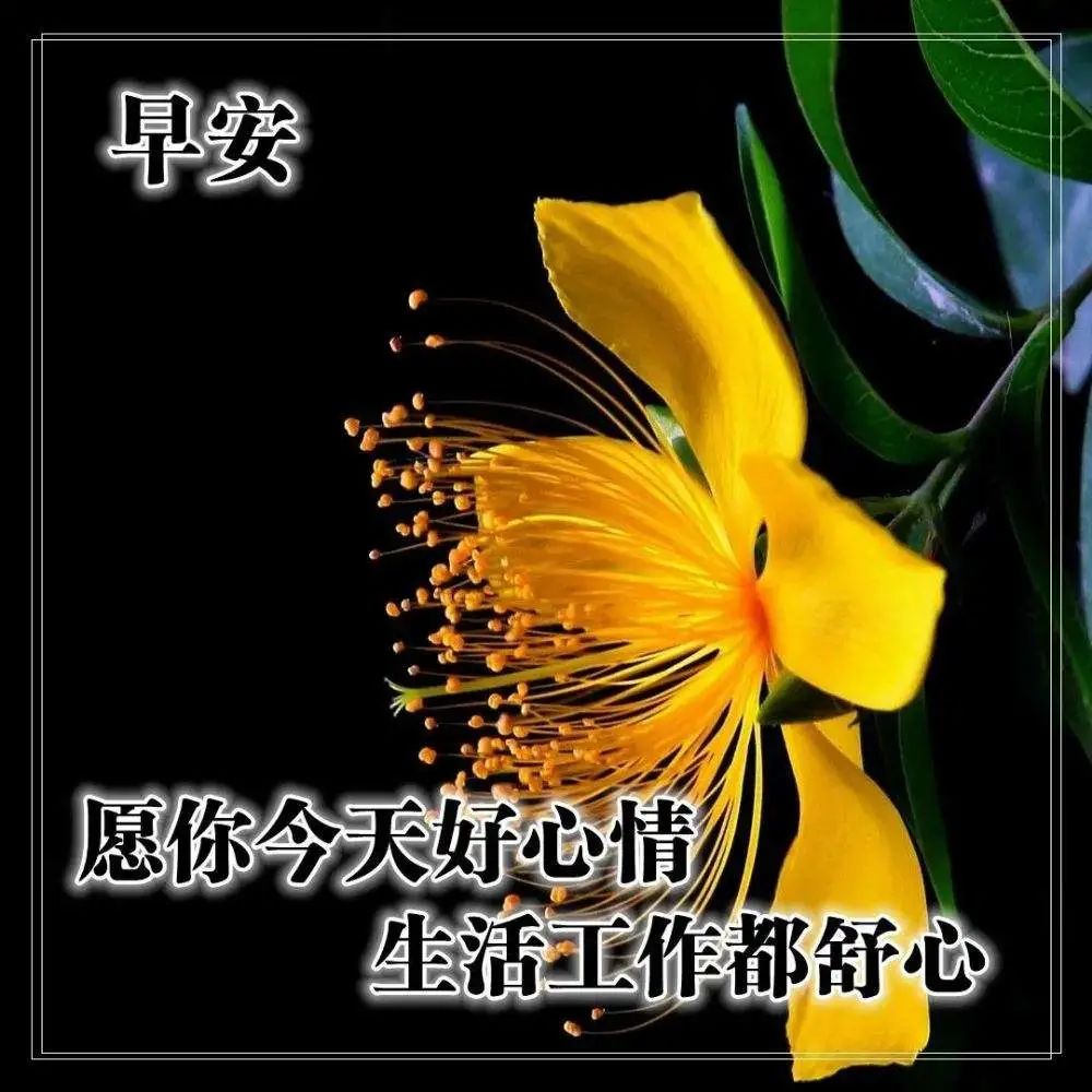 职场励志语录简短早安图片大全_职场早安励志语录_职场早安正能量句子励志